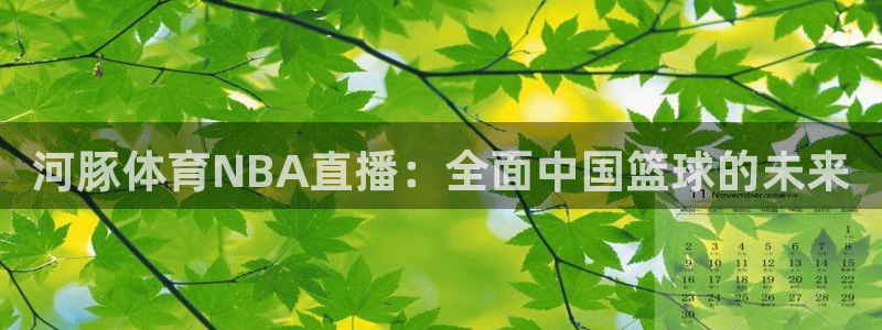 833直播体育免费入口