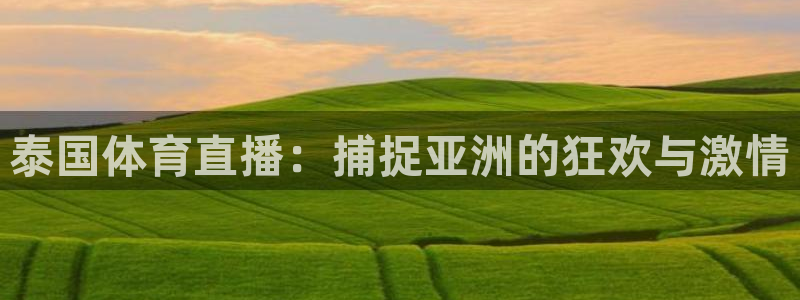 833看球直播在线观看