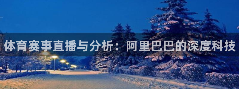 833体育在线直
