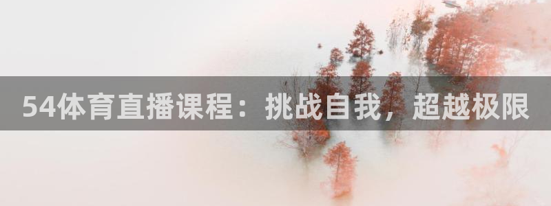 833直播足球免费观看