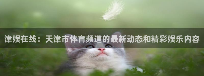 球帝833直播入口：津娱在线：天津市体育频道的最新动态和精彩娱乐内容