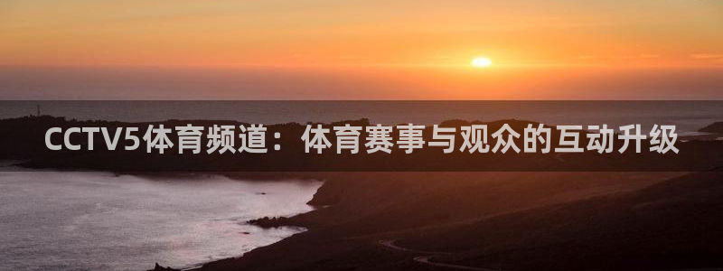 833直播比赛在线观看：CCTV5体育频道：体育赛事与观众的互动升级