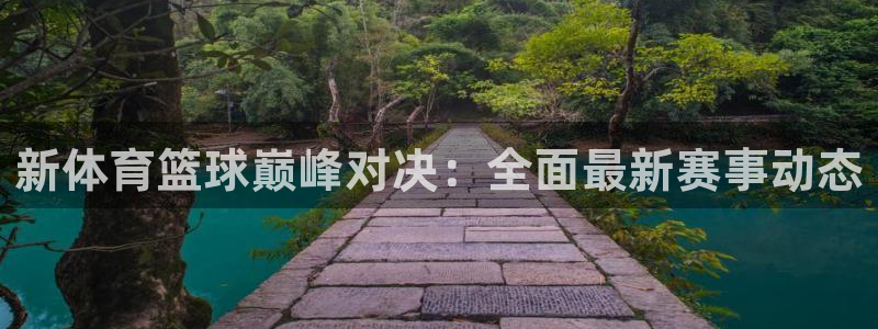 833足球比赛直播高清：新体育篮球巅峰对决：全面最新赛事动态