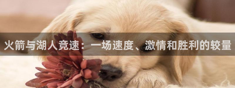 833体育免费直播入口：火箭与湖人竞速：一场速度、激情和胜利的较量